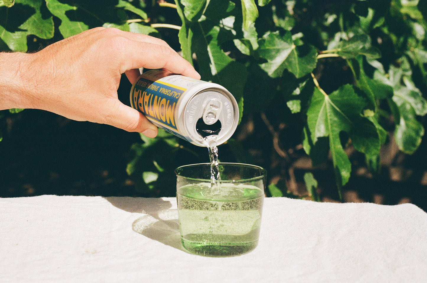 Original Sparkling Verjus (4-pack)